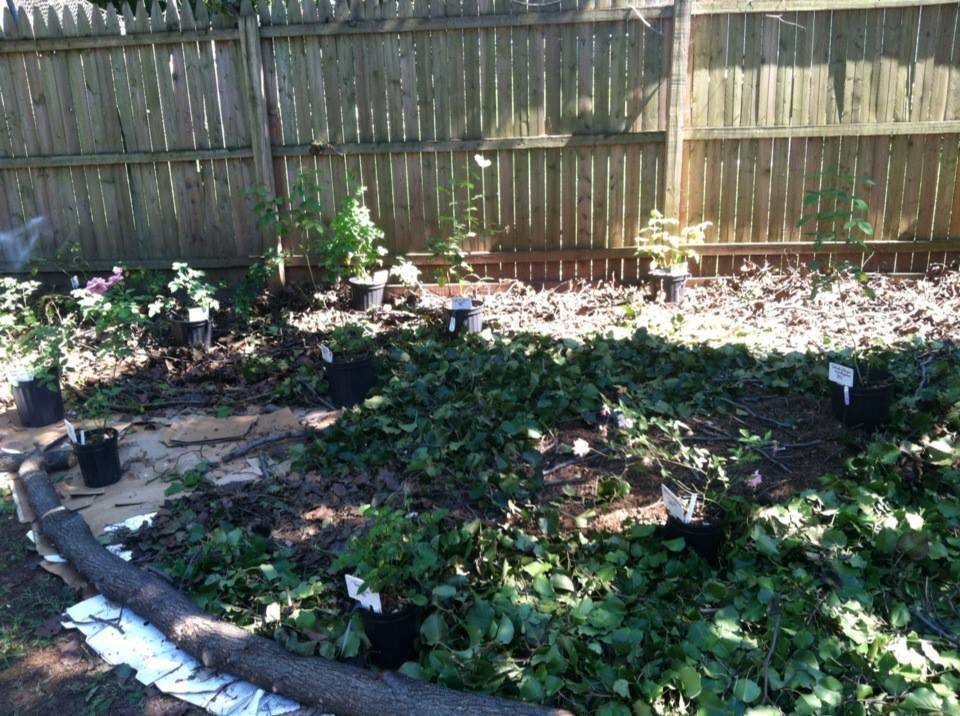 photo 933985_10151608174772285_2034809225_n.jpg